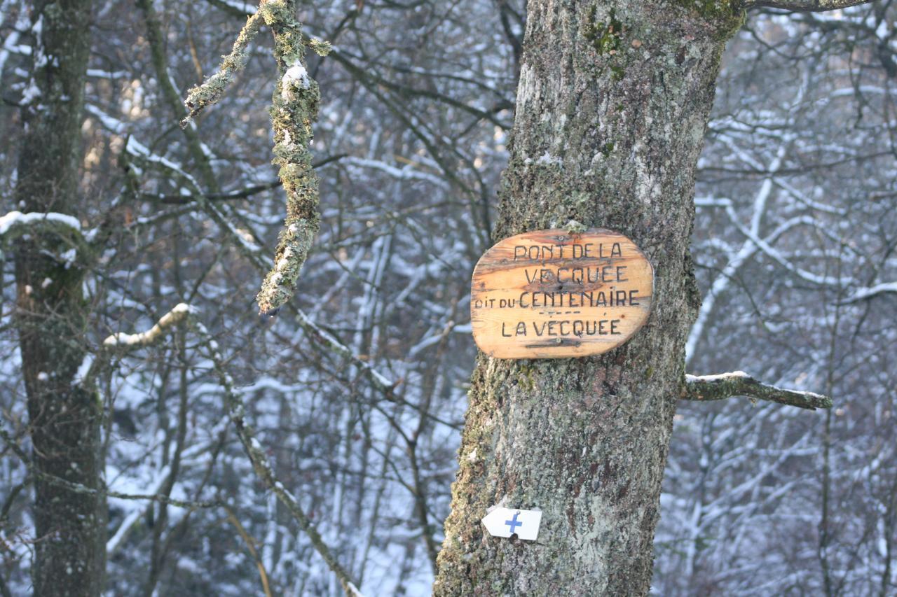 Les Chanterelles Jalhay Extérieur photo